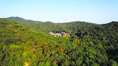 4K航拍南京栖霞山风景区森林树木自然风景视频的预览图
